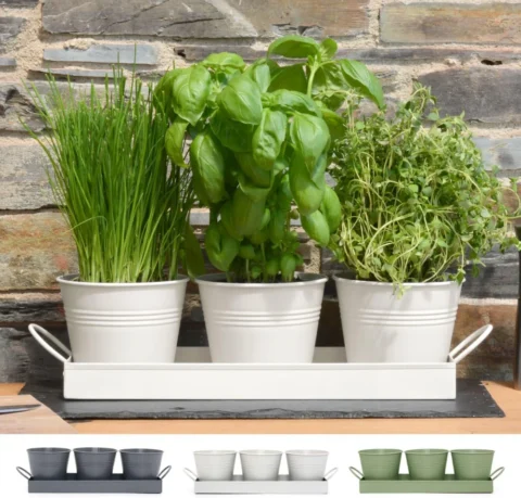 Lot de 3 pots à herbes blanc craie, avec plateau