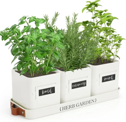 Lot de 3 pots à herbes blancs avec plateau, métal