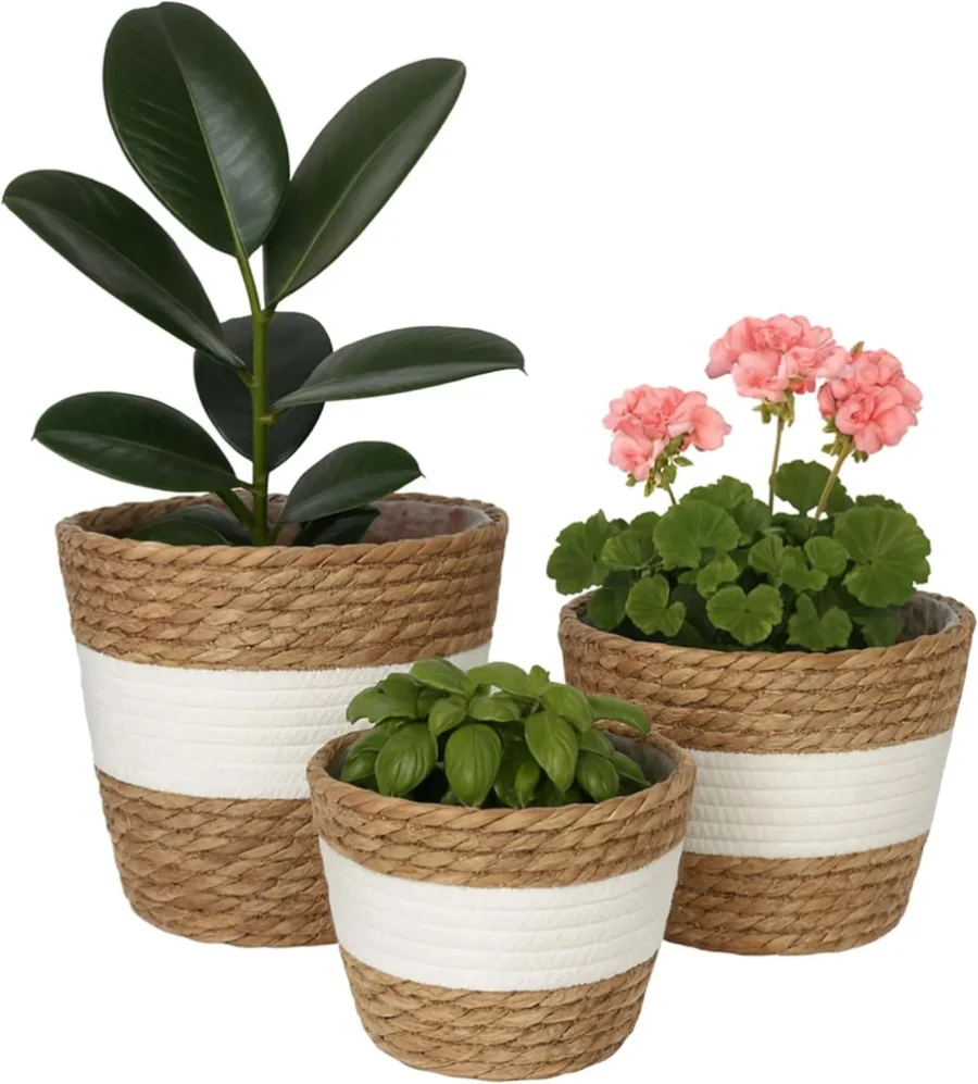 Lot de 3 pots en roseau tressé, blanc et marron