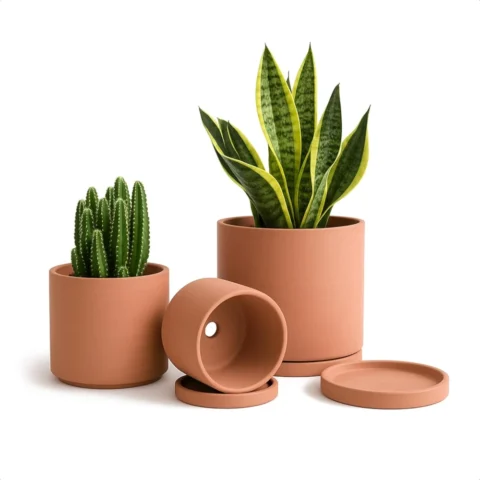 Lot de 3 pots en terre cuite, 3 tailles, avec soucoupe