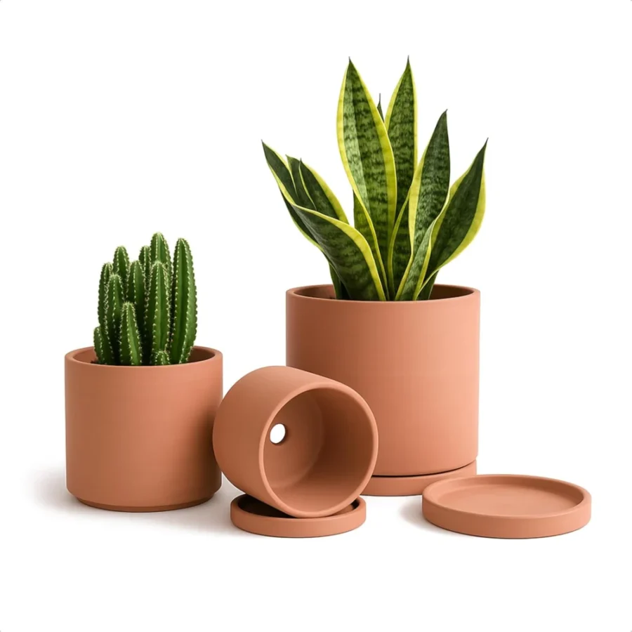 Lot de 3 pots en terre cuite, 3 tailles, avec soucoupe