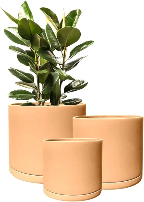 Lot de 3 pots en terre cuite Rome avec soucoupes