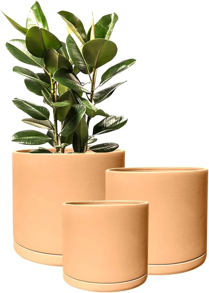 Lot de 3 pots en terre cuite Rome avec soucoupes