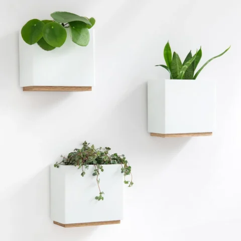 Lot de 3 pots muraux en résine blanche, cadres bois
