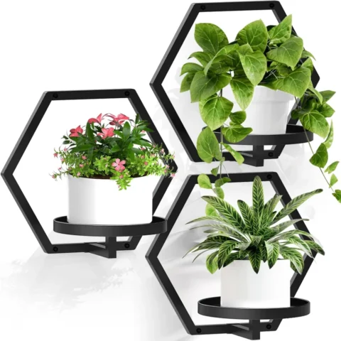 Lot de 3 pots muraux hexagonaux en métal noir