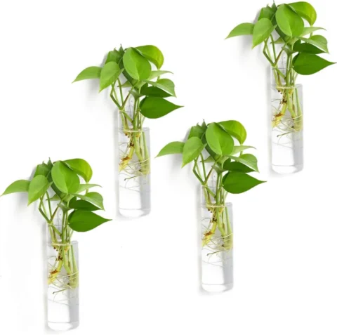 Lot de 4 pots muraux suspendus en verre, 15 cm