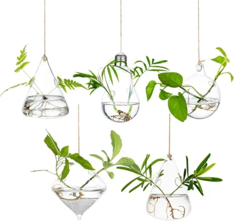 Lot de 5 jardinières suspendues en verre à corde