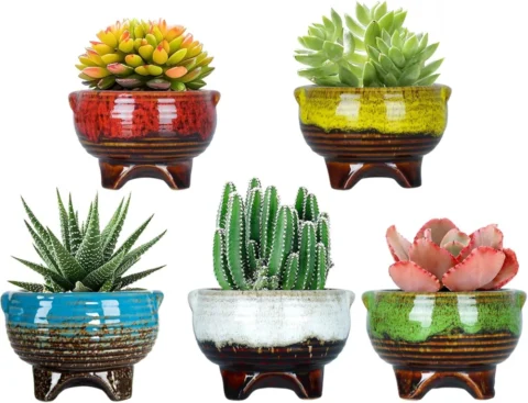 Lot de 5 petits pots à succulentes en céramique, 10 cm