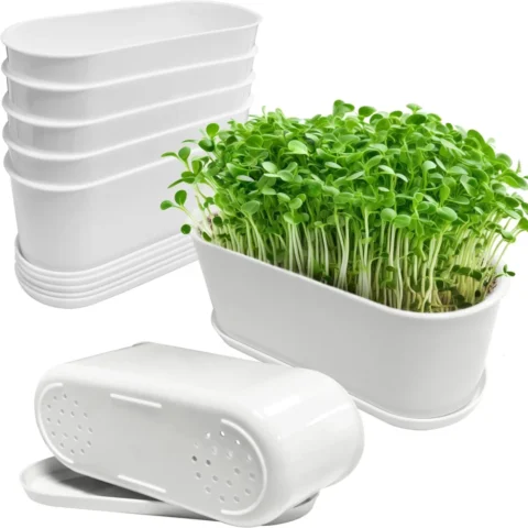 Lot de 5 pots à cactus blancs avec plateau, 22 cm