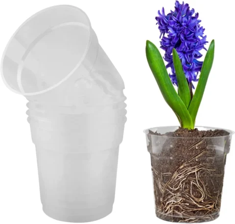 Lot de 5 pots à orchidées transparents, TSLBW