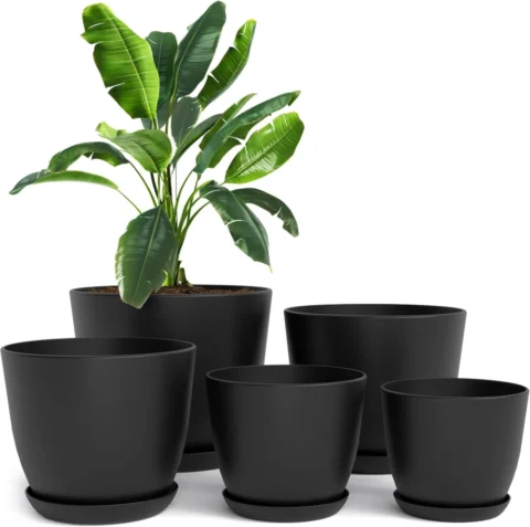 Lot de 5 pots de fleurs en plastique noir avec soucoupes