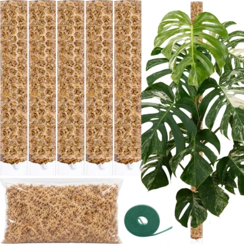Lot de 5 treillis extensibles transparents 39 cm pour monstera