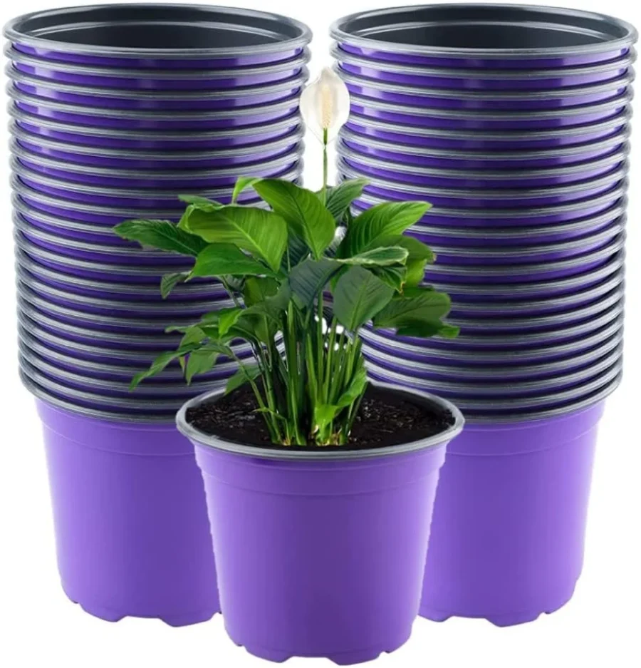 Lot de 50 pots de semis en plastique violet, 15 cm