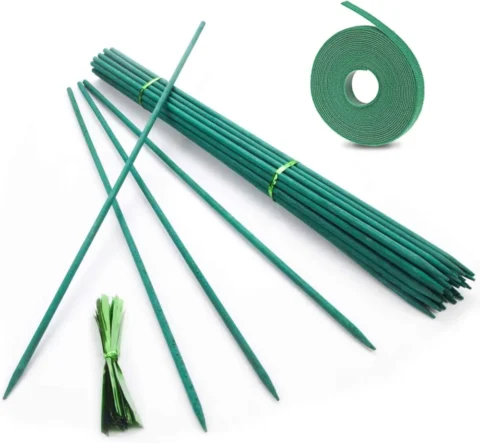Lot de 50 tuteurs en bambou vert 45 cm avec liens
