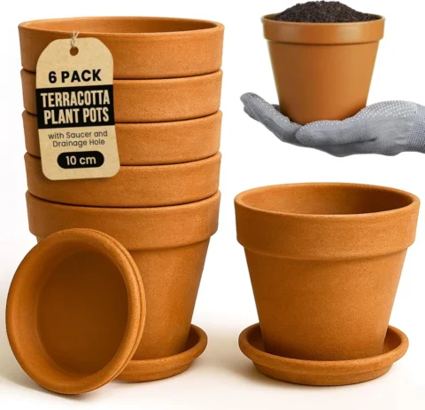 Lot de 6 grands pots en terre cuite, 10 cm, rustique