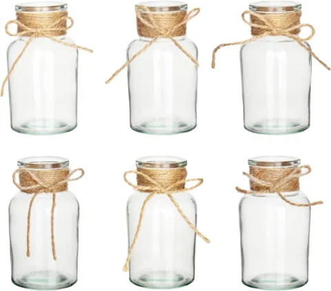 Lot de 6 mini vases en verre transparent, style vintage