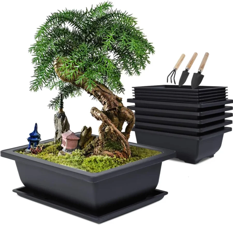 Lot de 6 pots à bonsaï avec soucoupe et outils