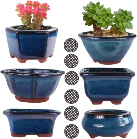 Lot de 6 pots à bonsaï bleus en porcelaine, 10 cm