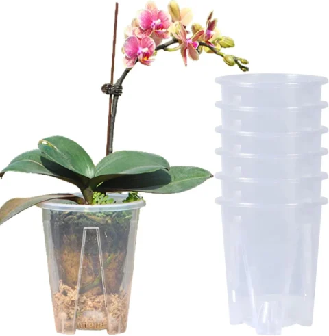 Lot de 6 pots à orchidées perforés, 10 cm