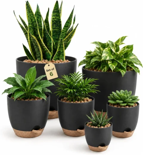 Lot de 6 pots auto-irrigants noirs, 12,7 à 20,3 cm