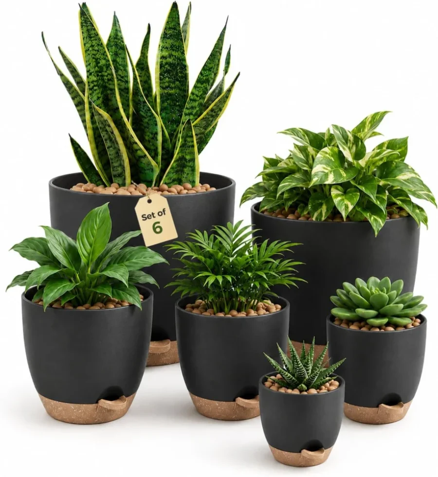 Lot de 6 pots auto-irrigants noirs, 12,7 à 20,3 cm
