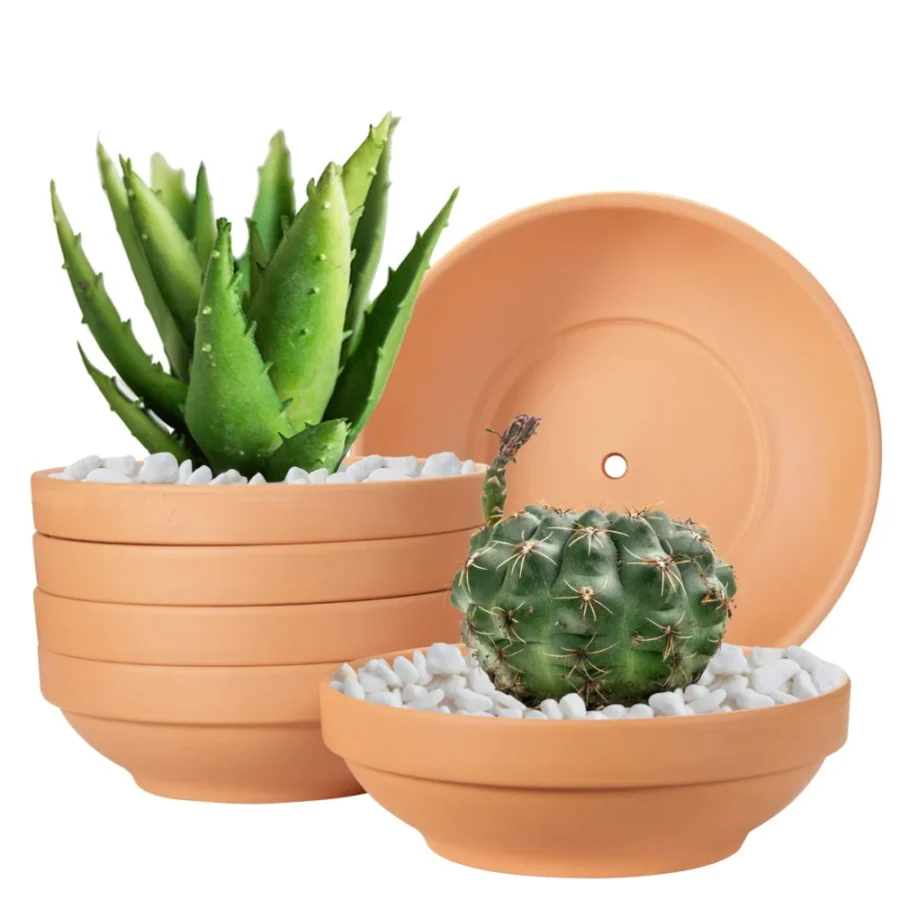 Lot de 6 pots bas en terre cuite, 16,3 cm