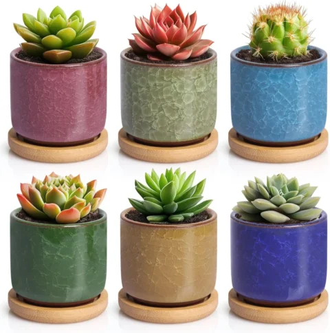 Lot de 6 pots de fleurs en céramique, effet glace, 6,3 cm