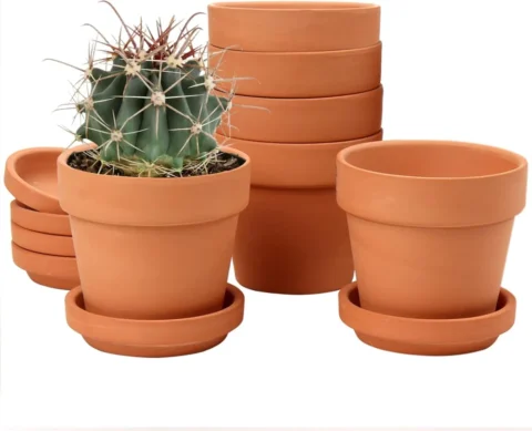 Lot de 6 pots en terre cuite, 10 cm, avec soucoupe