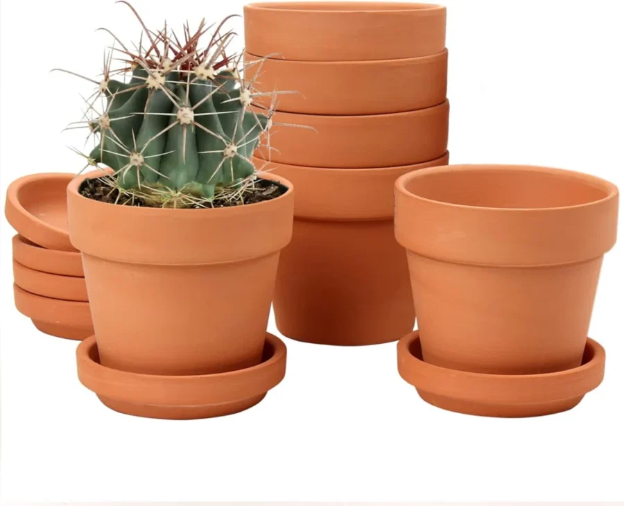 Lot de 6 pots en terre cuite, 10 cm, avec soucoupe