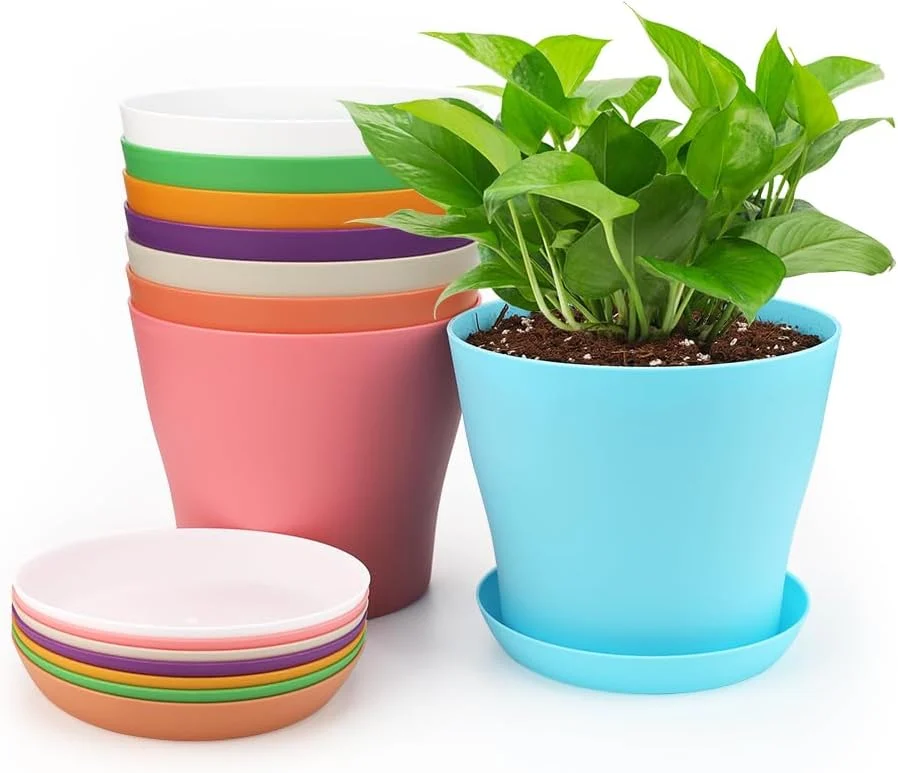 Lot de 8 petits pots multicolores avec plateaux, 10 cm