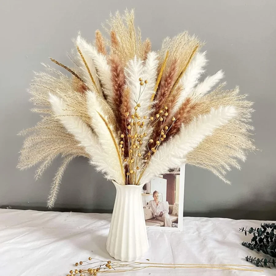 Lot de 90 tiges de pampa séchée blanche et beige