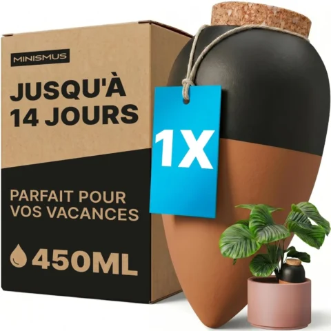 Olla en terre cuite auto-arrosante 450 ml