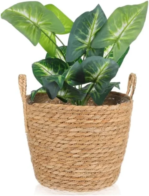 Panier cache-pot tressé en jonc de mer, 30 cm