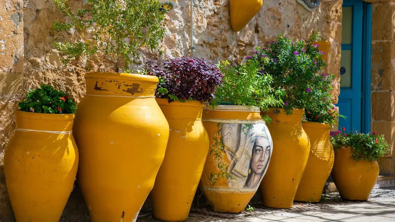 Pots en terre cuite garnis de plantes contre un mur ancien