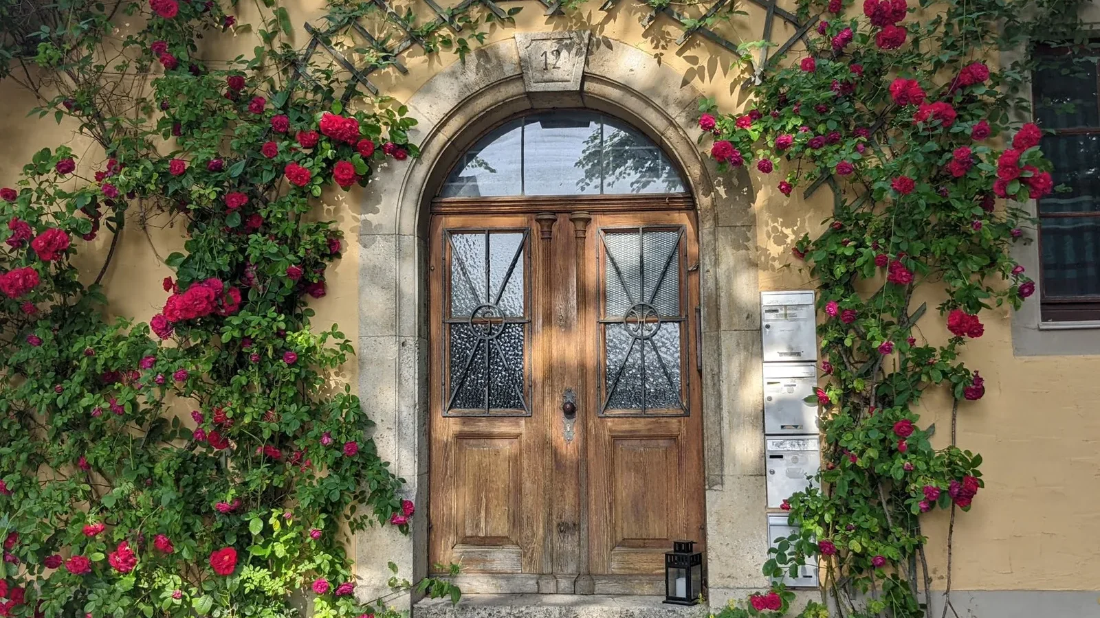 Porte en bois encadrée de roses grimpantes rouges