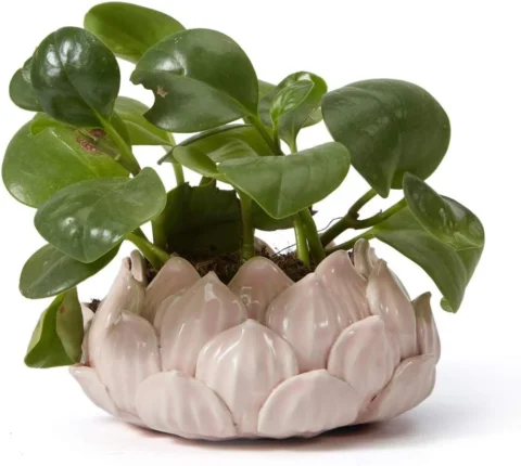 Pot à plante succulente en céramique rose, 18 cm