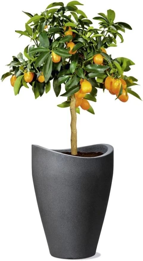 Pot de fleurs haut rond noir Wave Globe, 40 cm