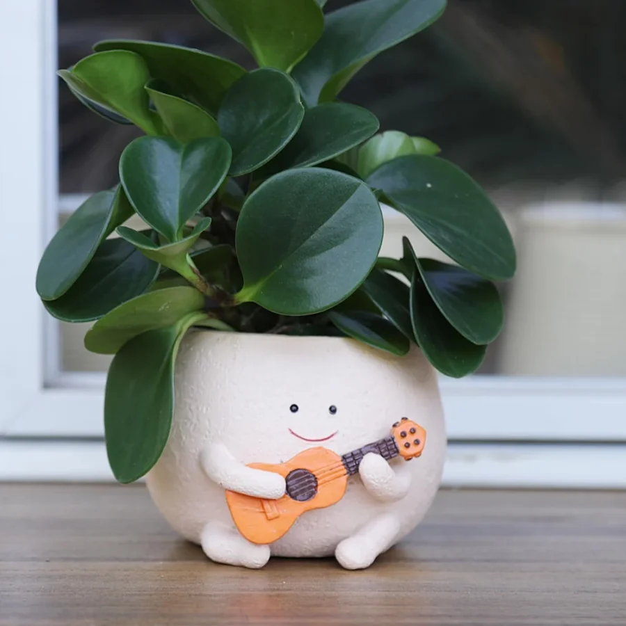 Pot de fleurs résine motif sourire, blanc, 11 cm