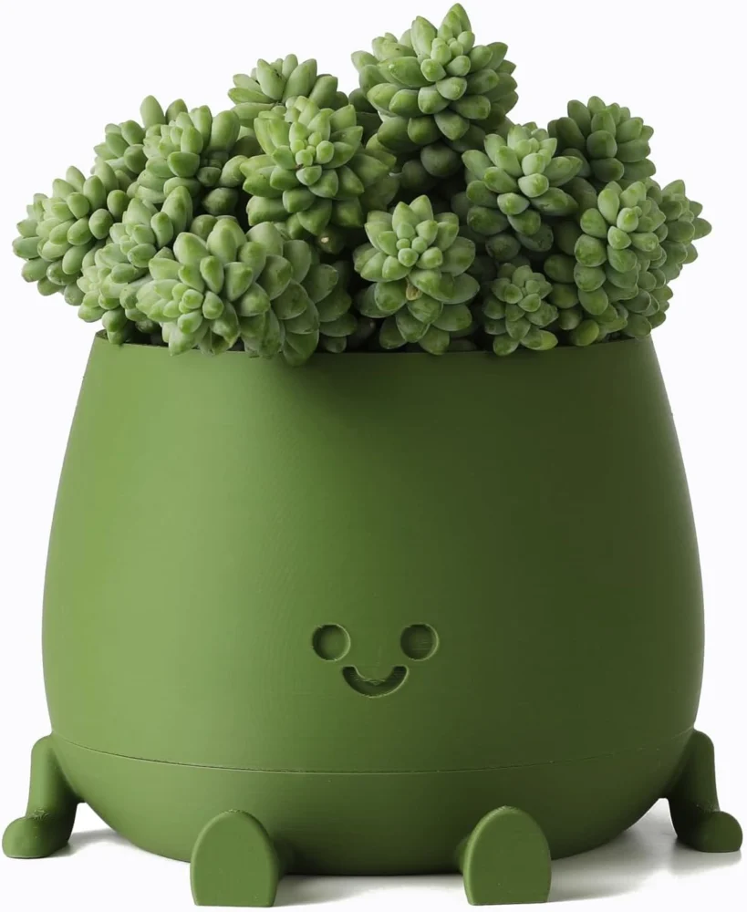 Pot de fleurs souriant auto-arrosant, vert foncé, 13 cm