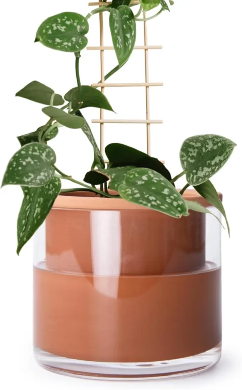 Pot en terre cuite auto-arrosant avec vase en verre