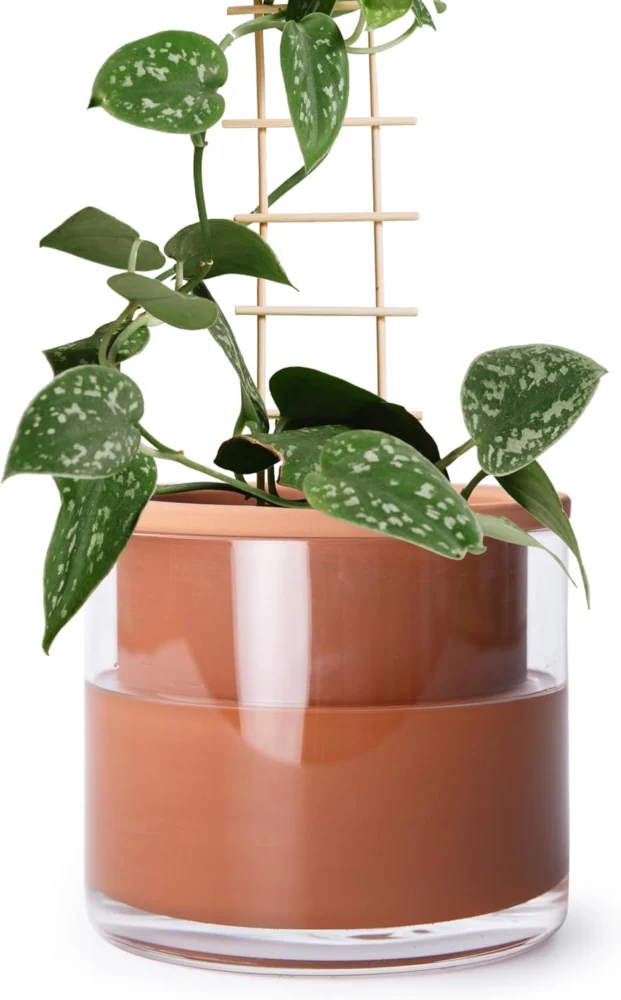 Pot en terre cuite auto-arrosant avec vase en verre