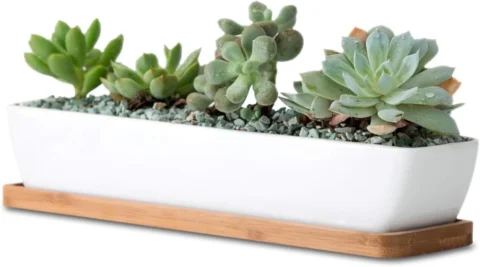 Pot rectangulaire en céramique blanche, 27,9 cm