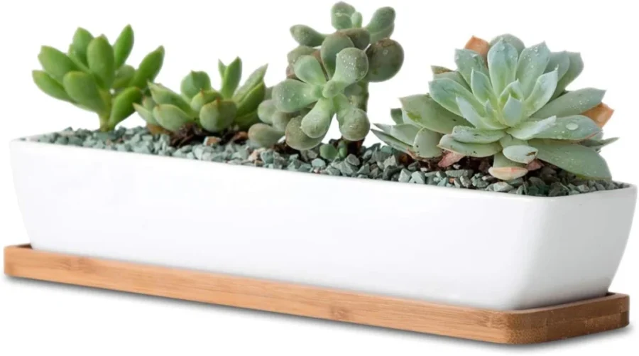 Pot rectangulaire en céramique blanche, 27,9 cm