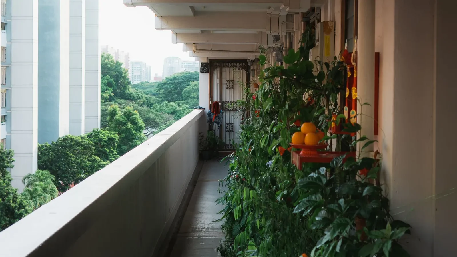 Potager de balcon en ville avec des plantes en bacs
