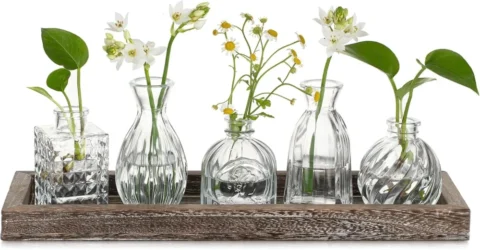 Set de 5 soliflores en verre avec plateau en bois