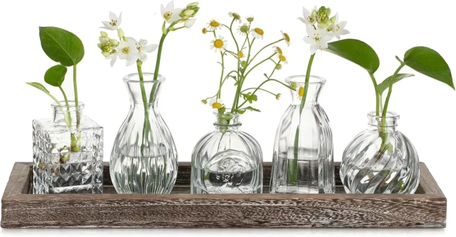 Set de 5 soliflores en verre avec plateau en bois