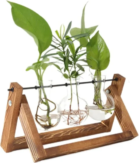Station de propagation en verre sur support bois, lot de 3