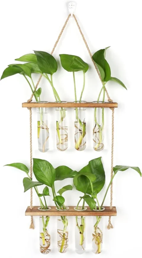 Station de propagation murale, 8 tubes en verre