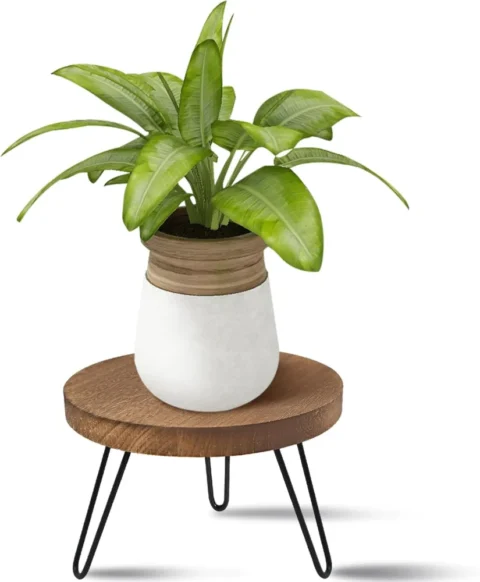Tabouret rond en bois pour plantes, 3 pieds, 17 cm