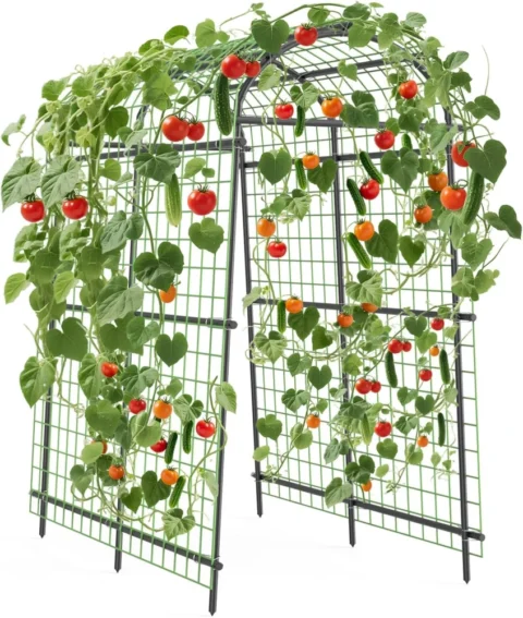 Treillis de jardin en métal noir, potager